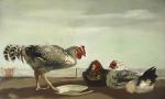 Lucien FONTANAROSA (1912-1975)
Trois poules, circa 1940. 
Huile sur toile signé...