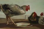 Lucien FONTANAROSA (1912-1975)
Trois poules, circa 1940. 
Huile sur toile signé...