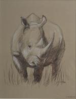 H. AYMER (XX-XXIème)
Rhinocéros, 2004. 
Dessin rehaussé signé et daté en...