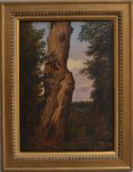 ECOLE FRANCAISE du XIXème
Etude d'arbre
Huile sur toile
40.5 x 29 cm