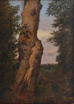 ECOLE FRANCAISE du XIXème
Etude d'arbre
Huile sur toile
40.5 x 29 cm