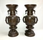 CHINE
Paire de vases en bronze patiné à décor d'animaux dans...