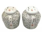 CHINE
Paire de vases couverts en porcelaine à décor de sinogrammes
H.:...