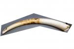 Une défense d'éléphant (ivoire brut) Poids 12,5 kg, Circonférence de...