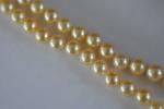 COLLIER de perles de culture de couleur dorée fermoir or