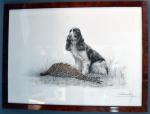Léon DANCHIN (1887-1938)
Le chien devant sa prise
Estampe signée en bas...