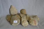 Lot de dix bifaces cordiformes.
Quartzite grise.
France, Charente (Angeac, Graves ou...