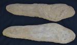 PIERRE FOSSILISEE d'aspidorhynchus company, en deux parties
L.: 56.5 cm H.:...