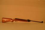 Carabine de jardin 
Calibre : 4.5 mm
Marque : Diana 
Longueur de canon :...