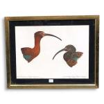 Louis DELAPCHIER (1878-1959)

Ibis falcinelle Guarauna

Aquarelle

27 x 37,5 cm (légères piqûres)