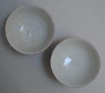 CHINE
Deux bols formant paire en porcelaine à décor polychrome de...