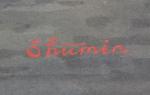 SHUMIN (XXème)
Vue du Mékong
Aquarelle signée en bas à droite
49 x...