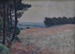 Donatien ROY (1835-1930)
Avessac, le Bois Madame, 1919.
Aquarelle signée et datée...