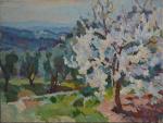 Sydney Lough THOMPSON (1877-1973)
Saint Jeannet, arbres en fleurs
Huile sur toile...