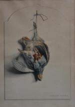Edouard TRAVIES (1809-c.1869)
La perdrix grise
Estampe signée
59.5 x 41.5 cm à...