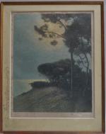 Arsen SHABANYAN (1864-1949)
Les pins sur la mer
Estampe signée en bas...
