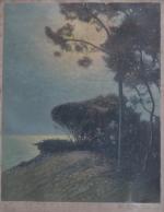 Arsen SHABANYAN (1864-1949)
Les pins sur la mer
Estampe signée en bas...