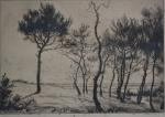 André DAUCHEZ (1870-1948)
Pins sur la dune
Gravure à l'eau forte signée...