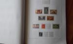 Dans un album DAVO avec pochettes, collection de timbres de...