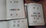 Dans 23 albums Yvert & Tellier anciens, collection de timbres...