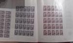 Dans 46 classeurs pour feuilles entières, important stock de timbres...