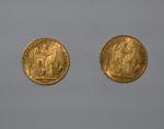 Deux pièces or, 20 francs, Génie de la République, 1887...