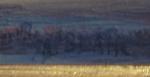 A. BLANC (XIX-XXème)
L'horizon
Huile sur cuivre signée en bas à droite
6.8...